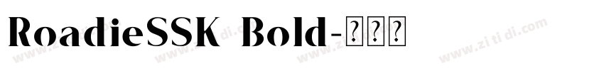 RoadieSSK Bold字体转换